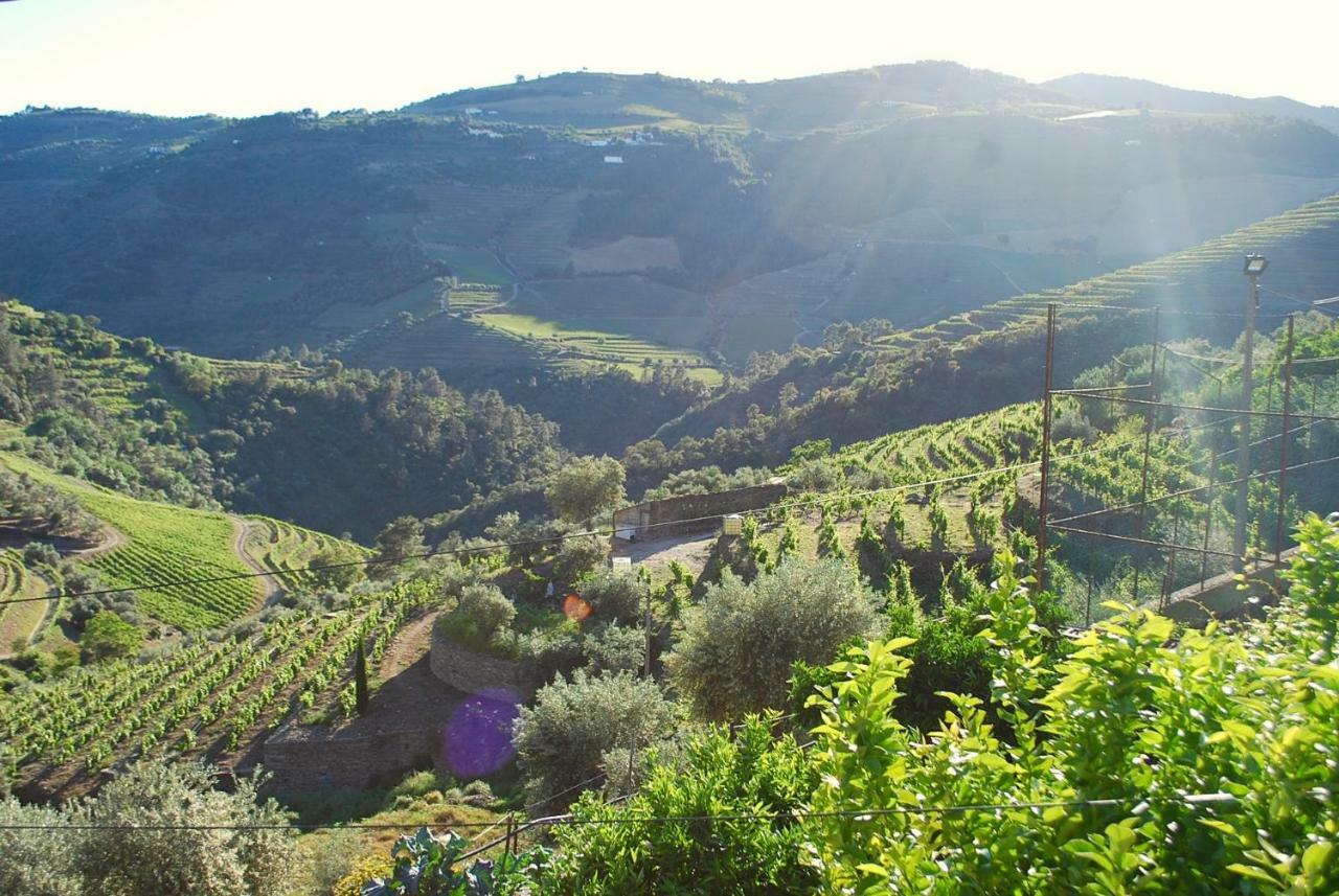 הוילה Vale de Mendiz Casa De Mendiz מראה חיצוני תמונה