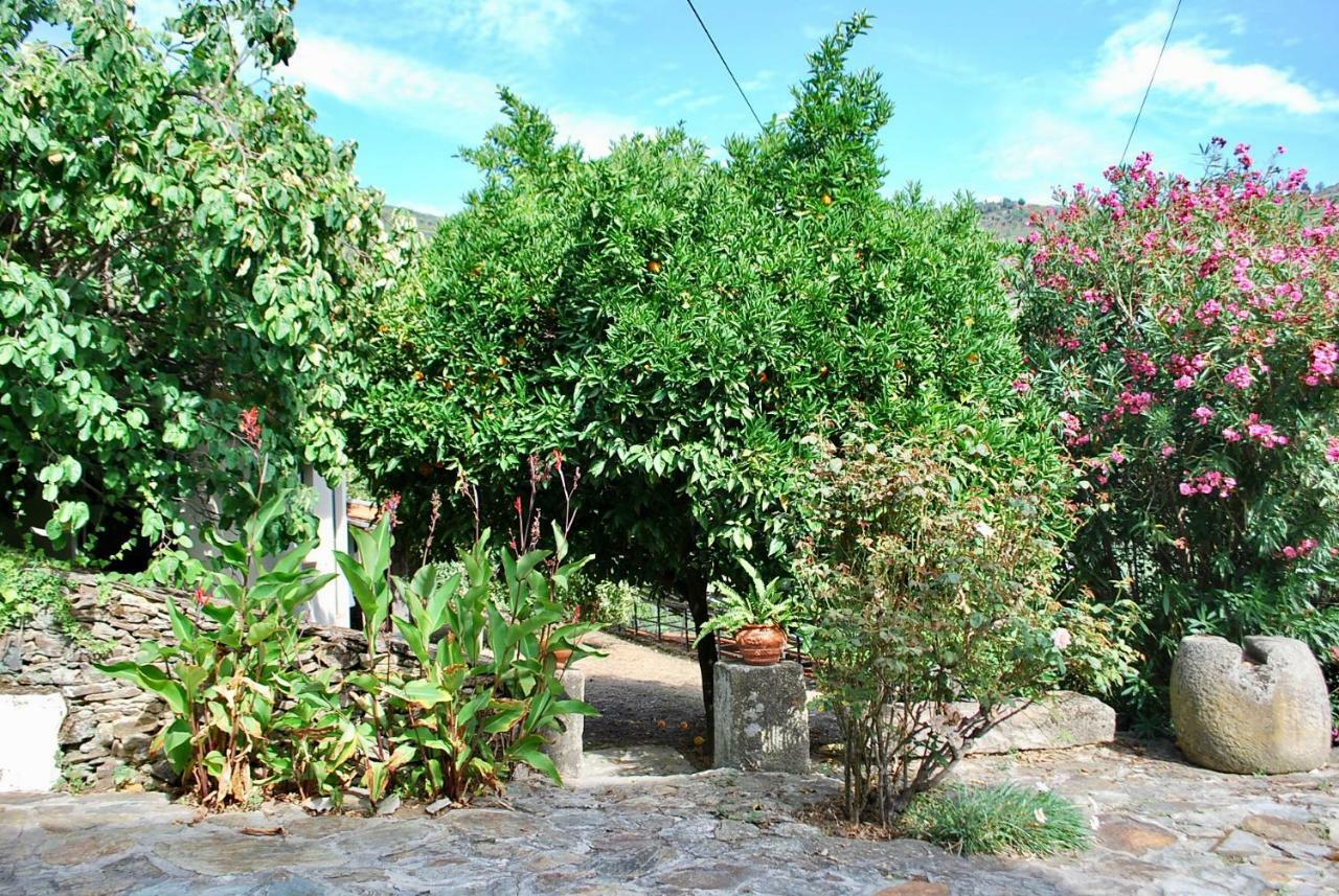 הוילה Vale de Mendiz Casa De Mendiz מראה חיצוני תמונה