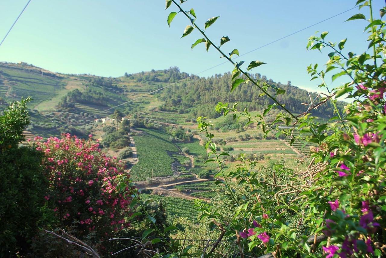 הוילה Vale de Mendiz Casa De Mendiz מראה חיצוני תמונה